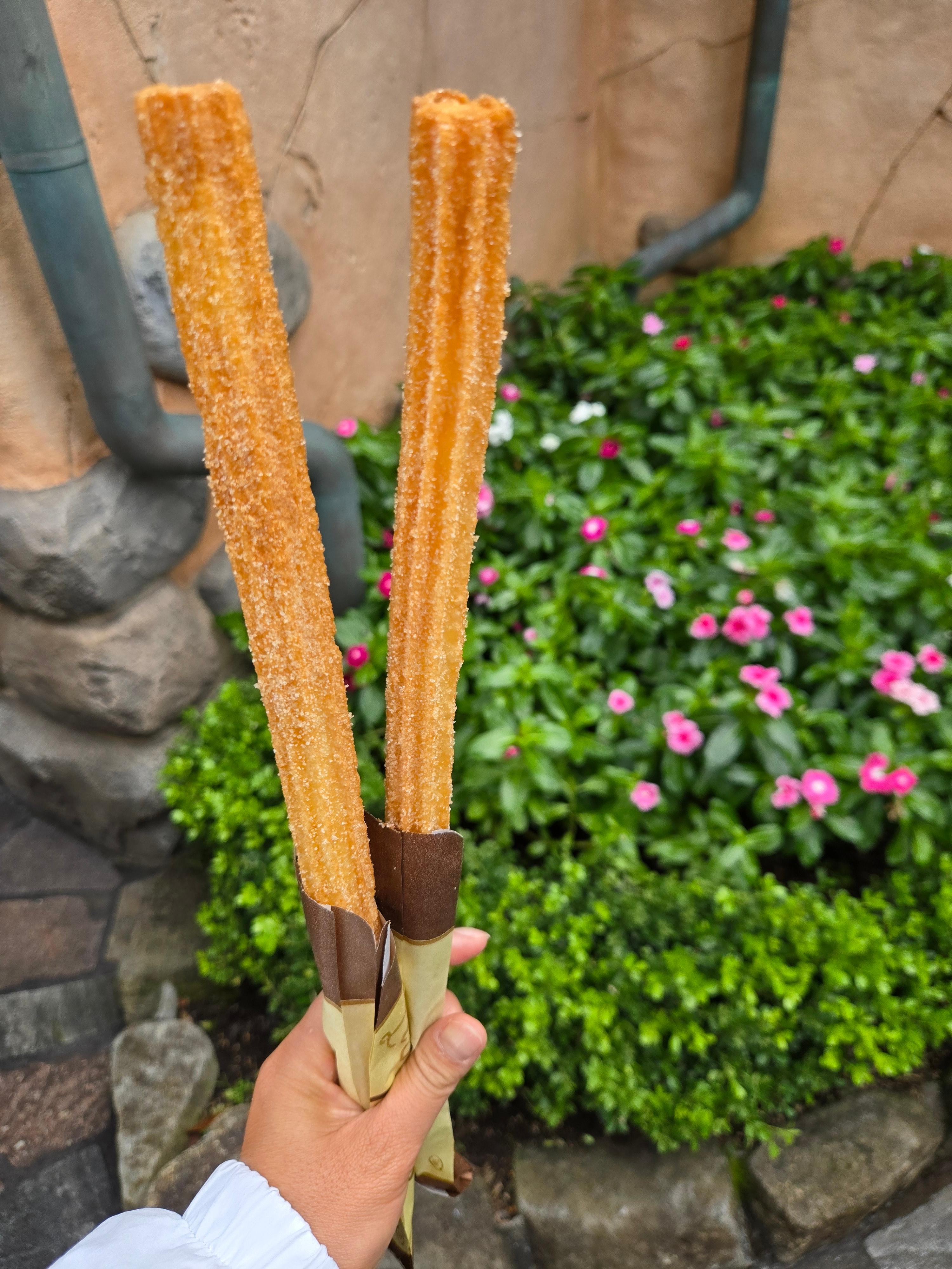 도쿄디즈니랜드 츄러스 맛 후기