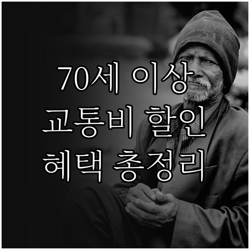 만 70세 이상 교통비 할인: 신청 ..
