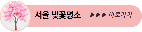 서울 벚꽃명소 바로가기