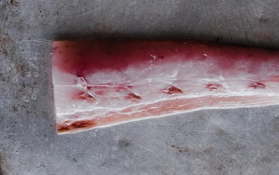 방어 부시리 구별법