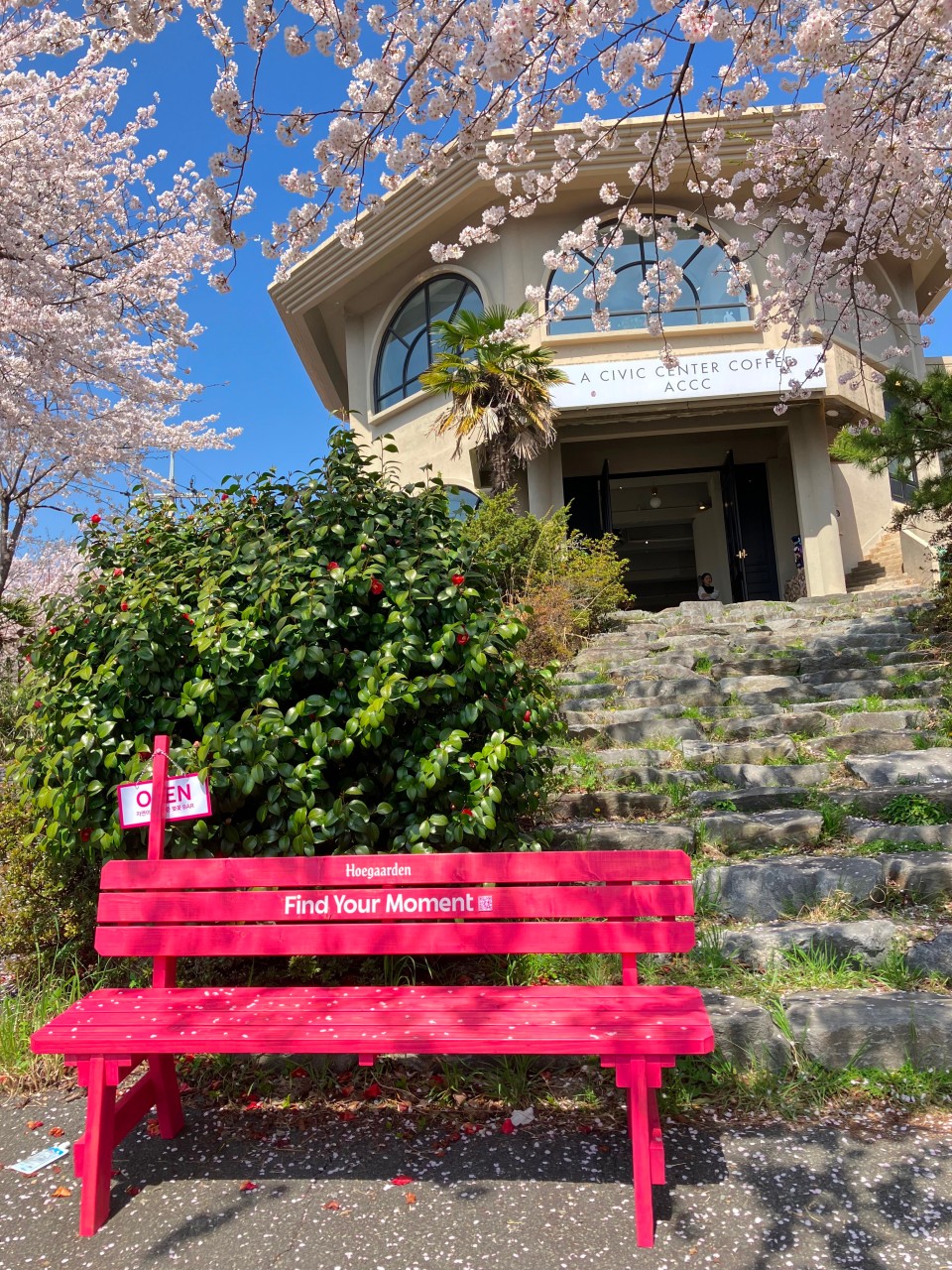 현지인 추천 진해 맛집 추천 : 진해군항제 맛집, 베스트