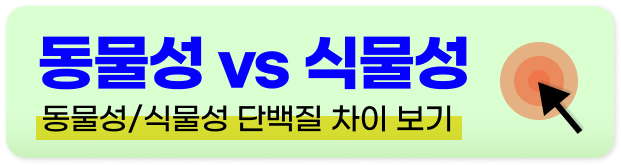 식물성 단백질 종류