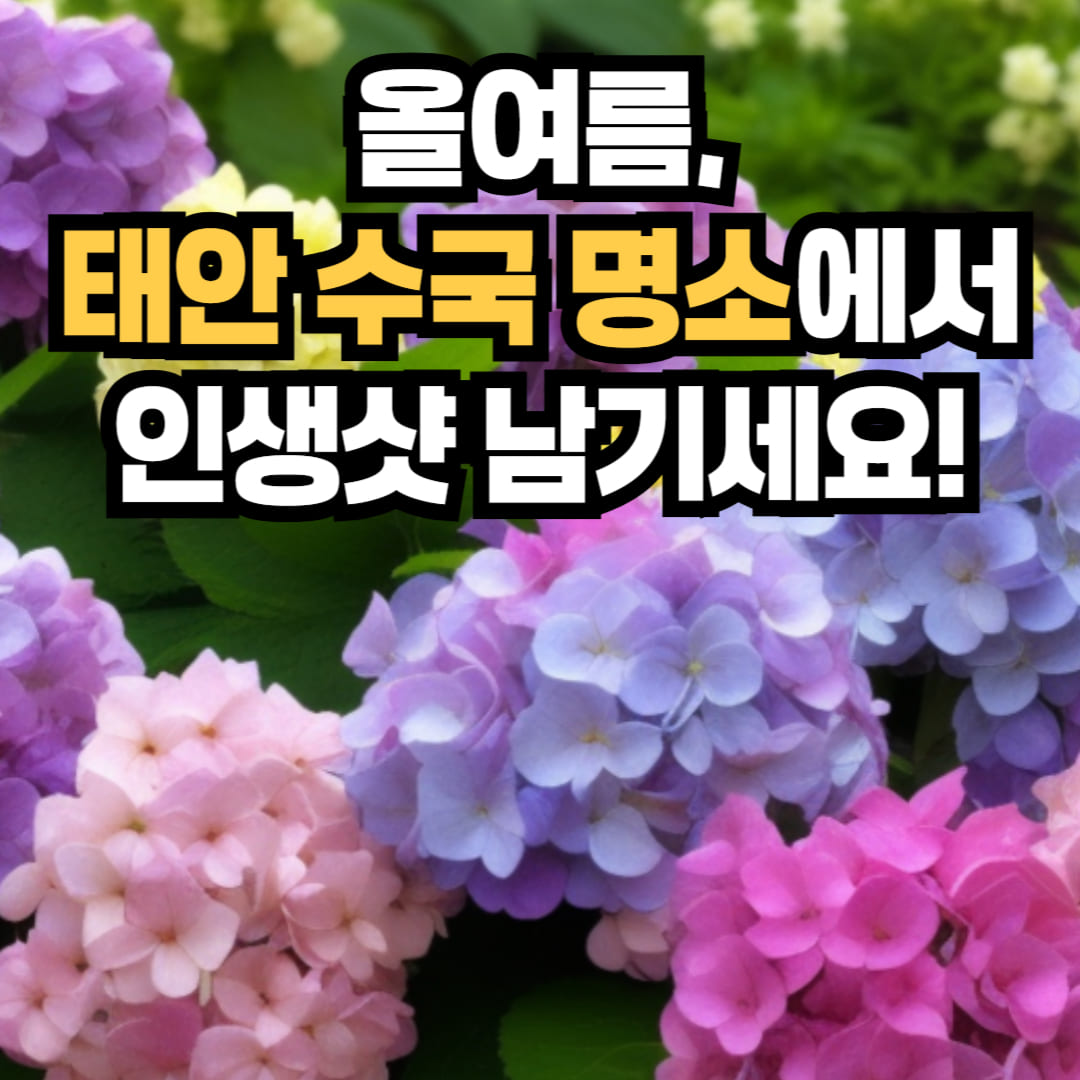 팜카밀레허브농원 수국축제 풍경