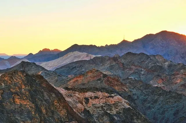 2025년 초복 중복 말복 날짜별 건강 관리법 및 보양식 정리_4