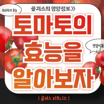 토마토 효능 항산화 작용과 피부건강 효과 정리_10