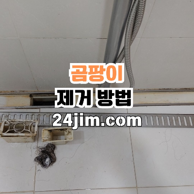 화장실 곰팡이