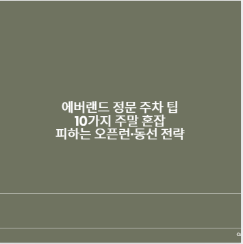 에버랜드 정문 주차 팁 10가지 주말 혼잡 피하는 오픈런·동선 전략