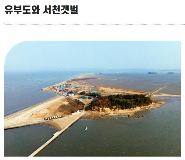 서천 홍원항 자연산 전어꽃게 축제