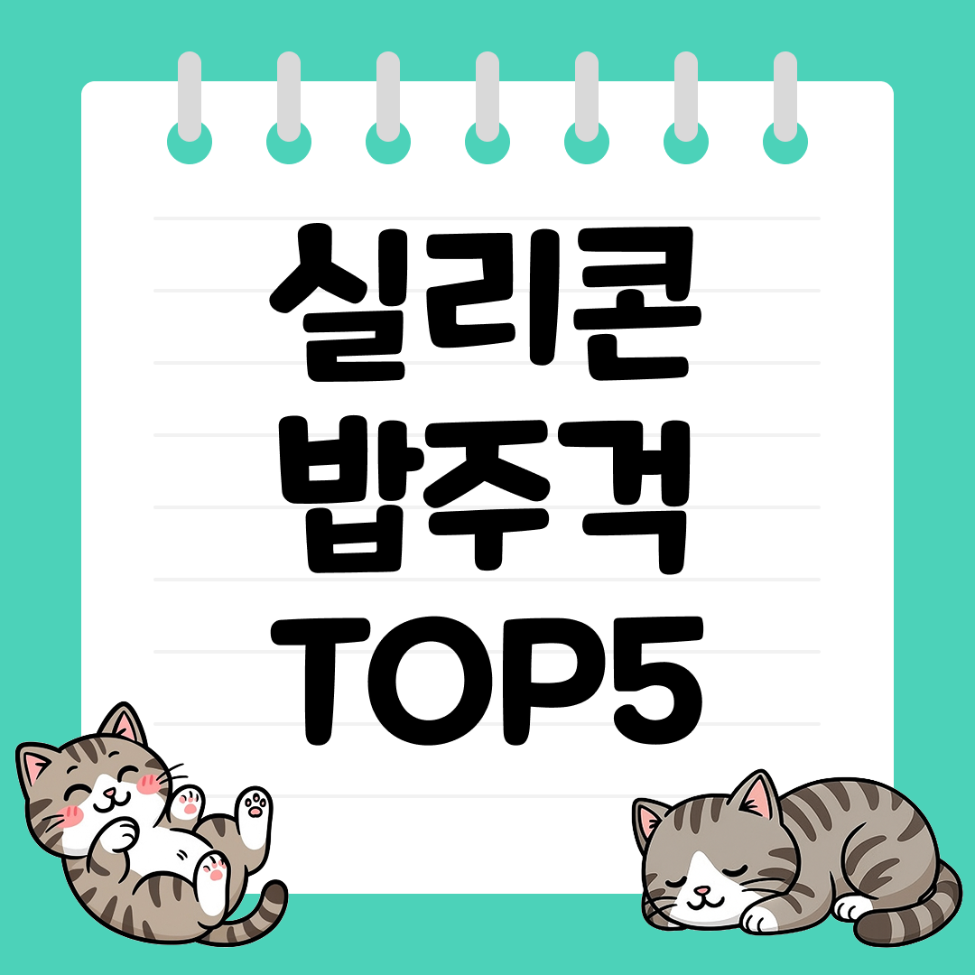 밥알이 달라붙지 않는 실리콘 밥주걱 TOP5