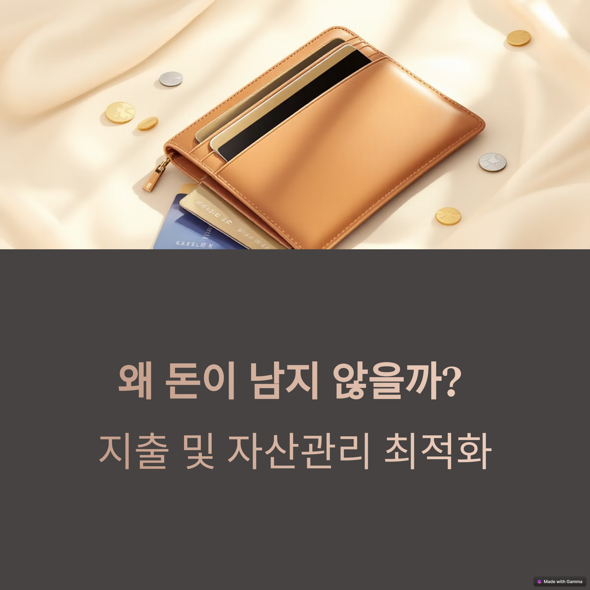 지갑과 카드 그리고 동전들 일러스트