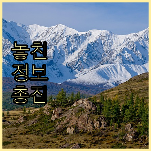 ESTA 인상 후 미국 가족 여행 비..