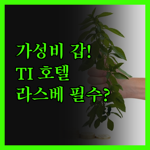 가성비 갑! 트레저 아일랜드 TI 호