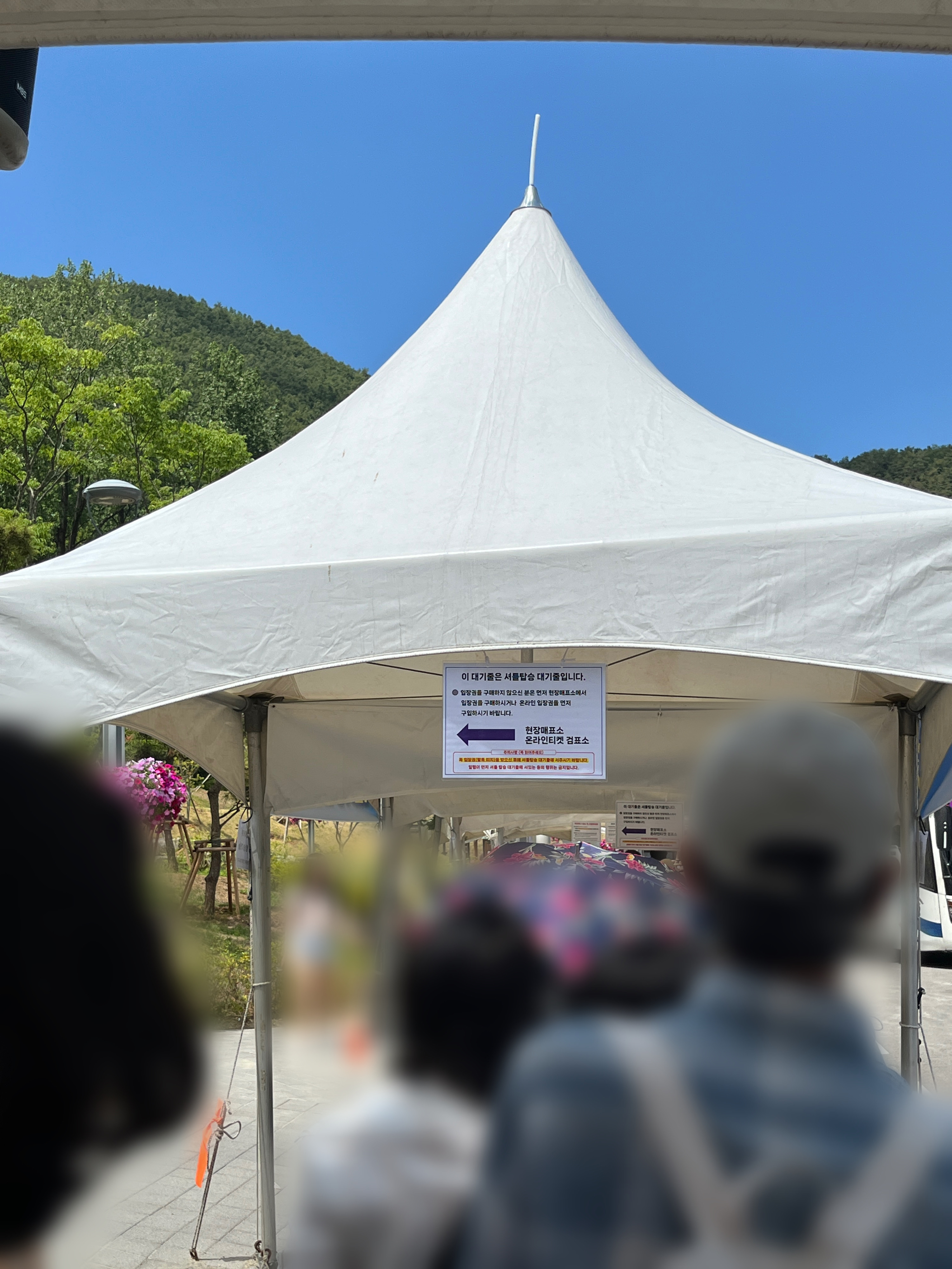 무릉별유천지 라벤더