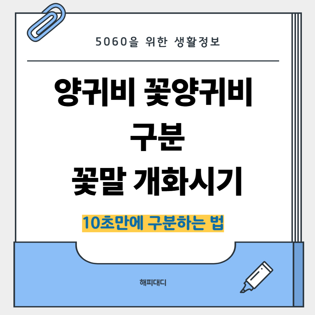 양귀비 꽃양귀비 구분