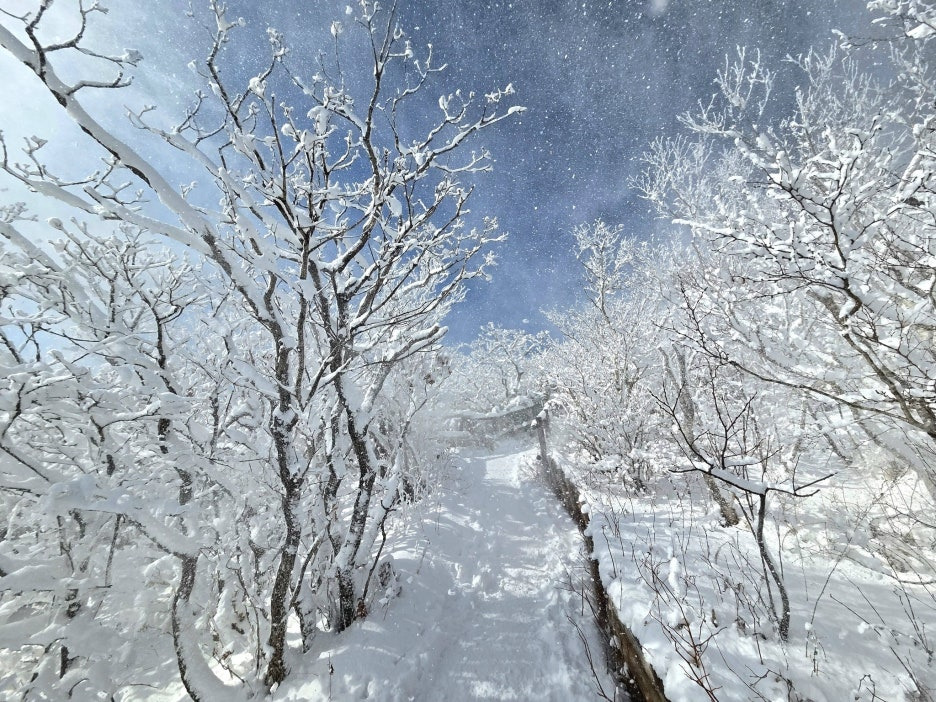 덕유산 CCTV 실시간 날씨 설천봉 향적봉 겨울눈꽃여행