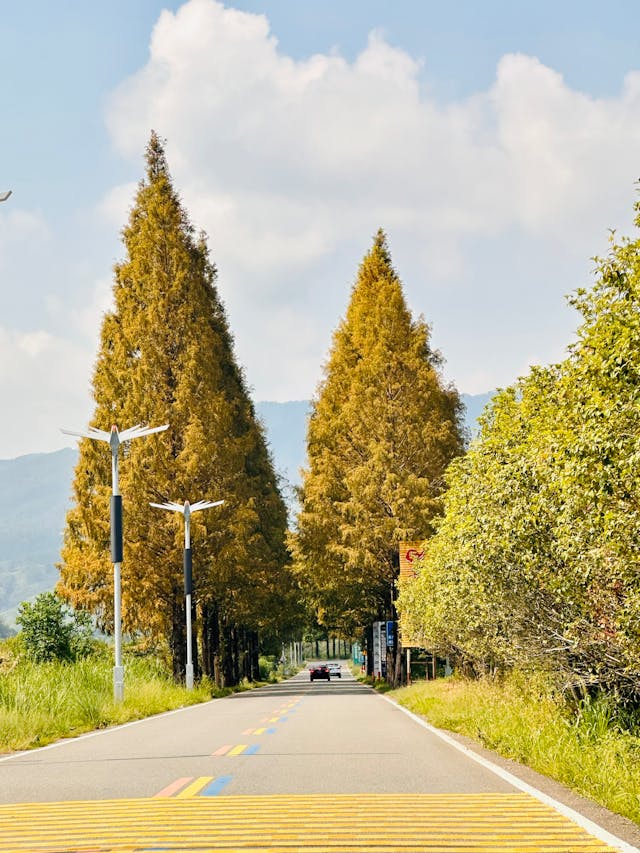 전국 날씨 예보 최저 최고 기온 강수 비 전망