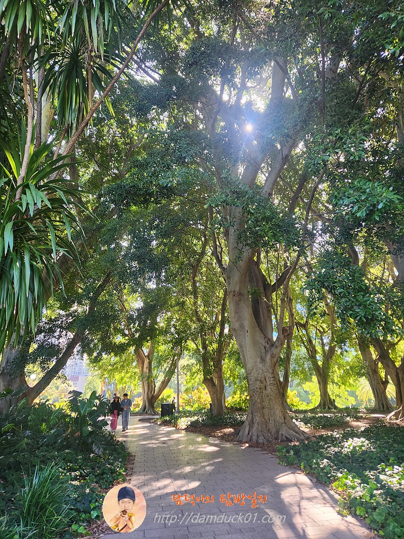 Cook + Phillip Park