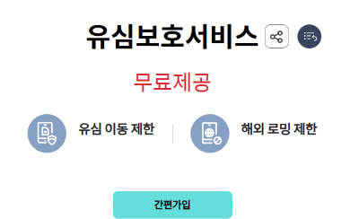 kt 유심보호서비스