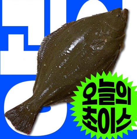 생방송투데이 오늘도 달린다 청년 사장 달려야 산다 노량진 도시어부 피쉬서핑