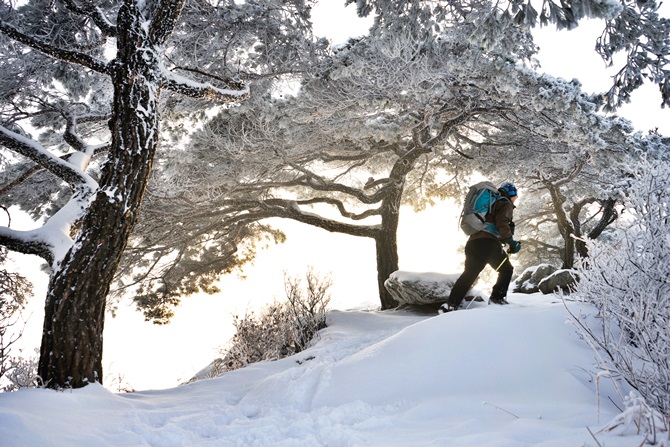 남양주 반려견 겨울 나들이 명소, 강아지와 함께 산책하기 좋은 곳 추천