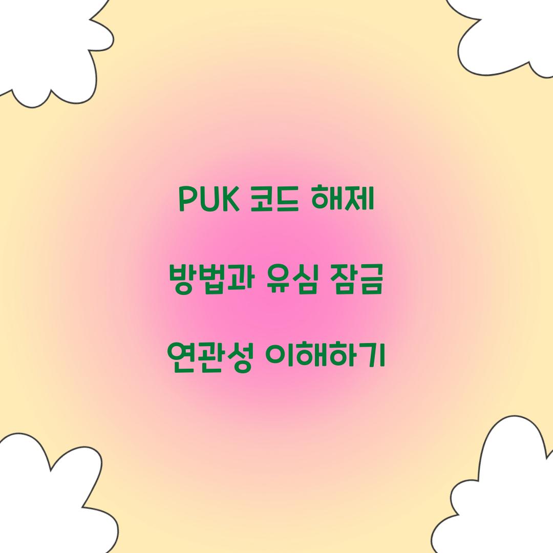 PUK 코드 해제 방법