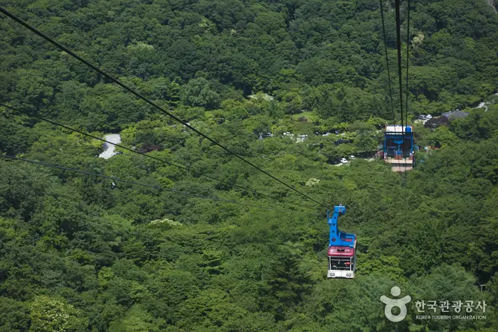 내장산 케이블카 예약2