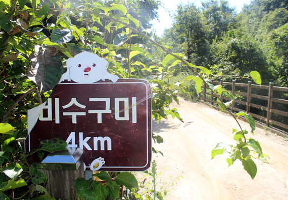 화천 비수구미