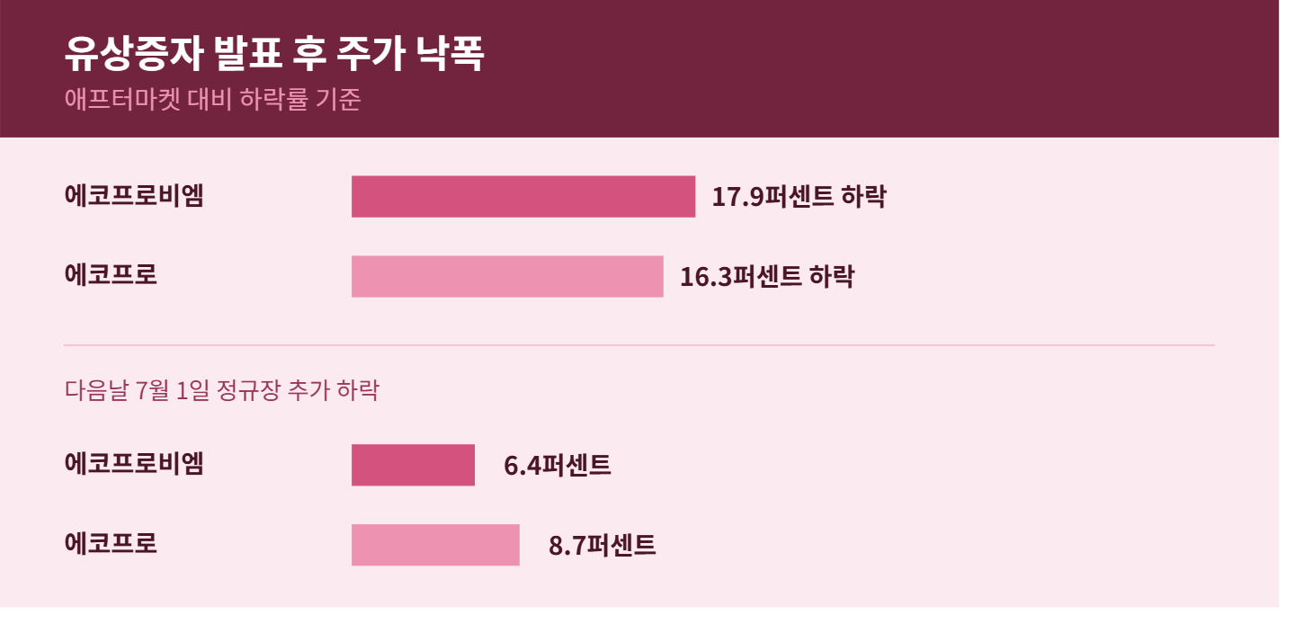 에코프로 주가전망과 유상증자 후 방향