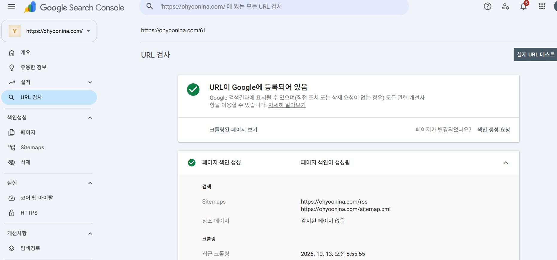 서치콘솔URL검사