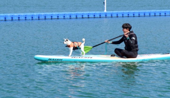 거제 댕수욕장 패들보드 체험 장면