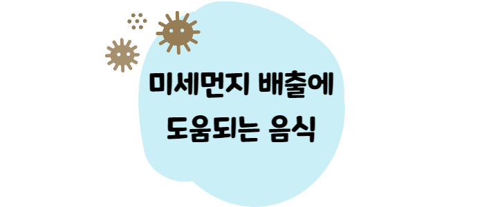 이미지썸네일