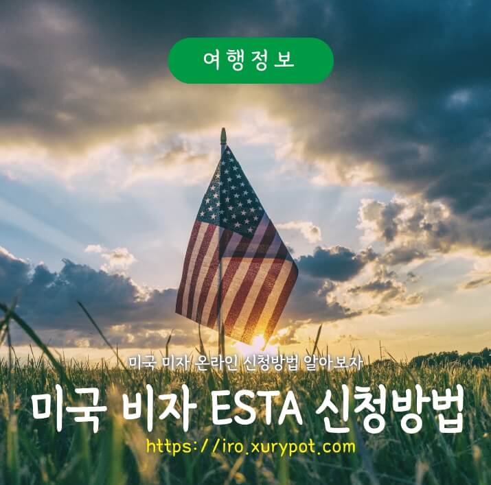 미국 국기 사진