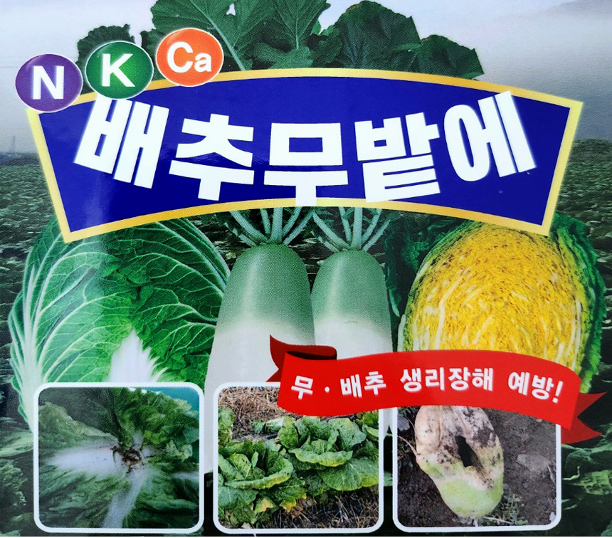 배우무우 N K Ca