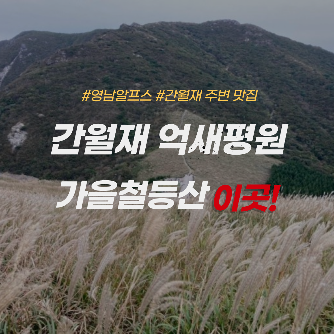 간월재-억새평원