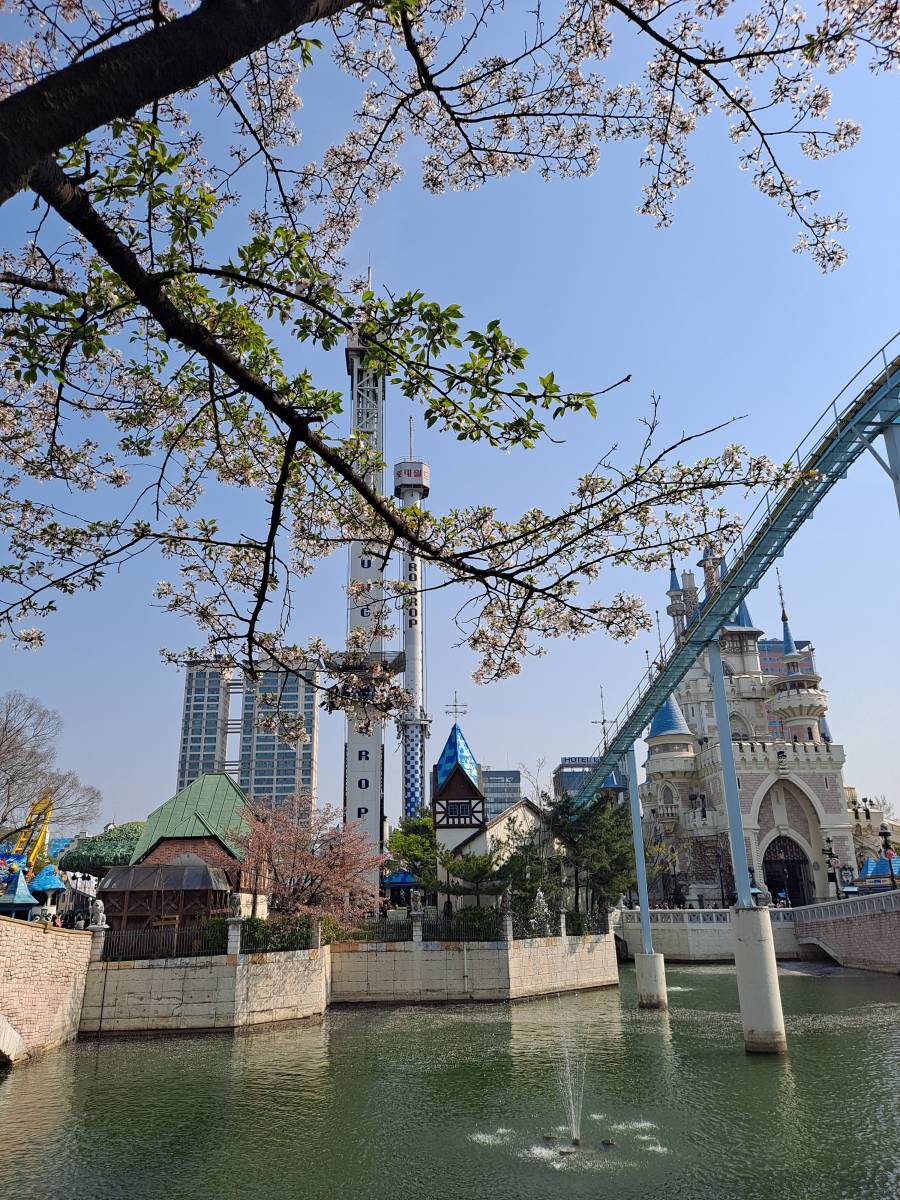 매직 아일랜드 자이로드롭