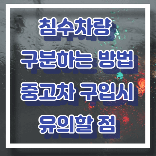 침수차량 구분하는 방법