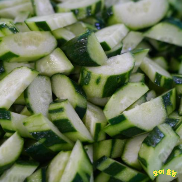 오이 효능 : 오이의 효능 알고 드세요!