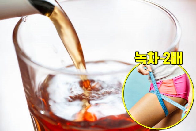 우롱차 효능, 체지방 빼는 식단, 체지방 분해 식품, 다이어트 피트니스 건강, 팁줌 매일꿀정보