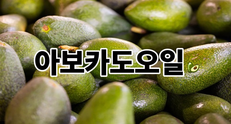 아보카도오일