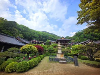 6시 내고향에 나온 영주 자연묵집 &ndash; 건강한 묵 한상과 근처 가볼만한 곳 3곳