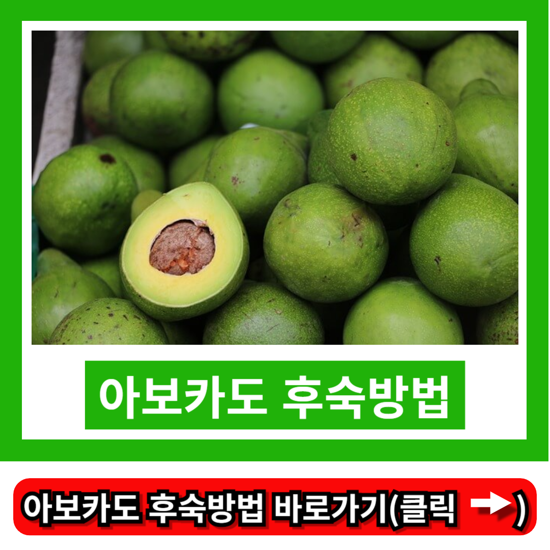 아보카도 후숙방법