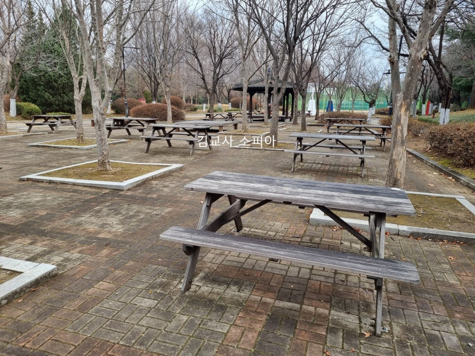 고양피크닉시민 공원 이용 후기 🏞️🌿& 팁