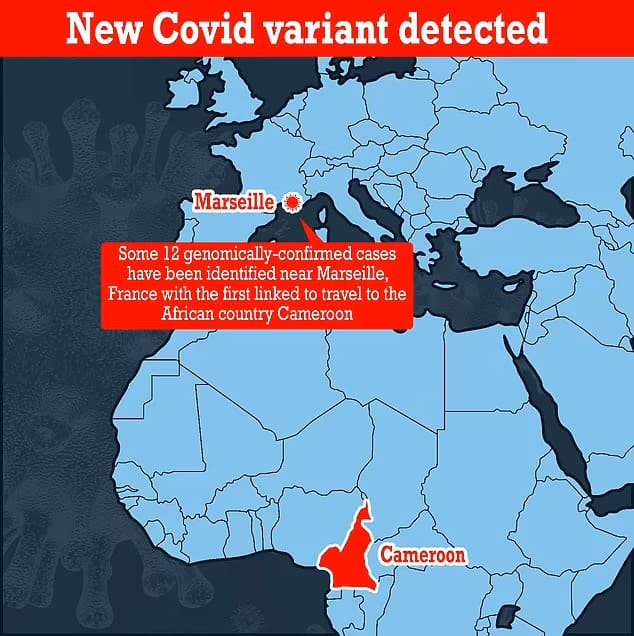 프랑스에서 또 다른 강한 코로나 변종 발견 D&eacute;j&agrave; vu: French scientists detect ANOTHER variant linked to travel to Cameroon and ...