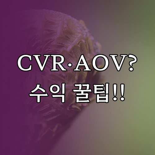 트립 숙소 리뷰 수익 극대화: CVR..
