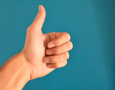 하쿠나 마타타 뜻 및 유래 한번에 알아보기 (일상 사용방법)