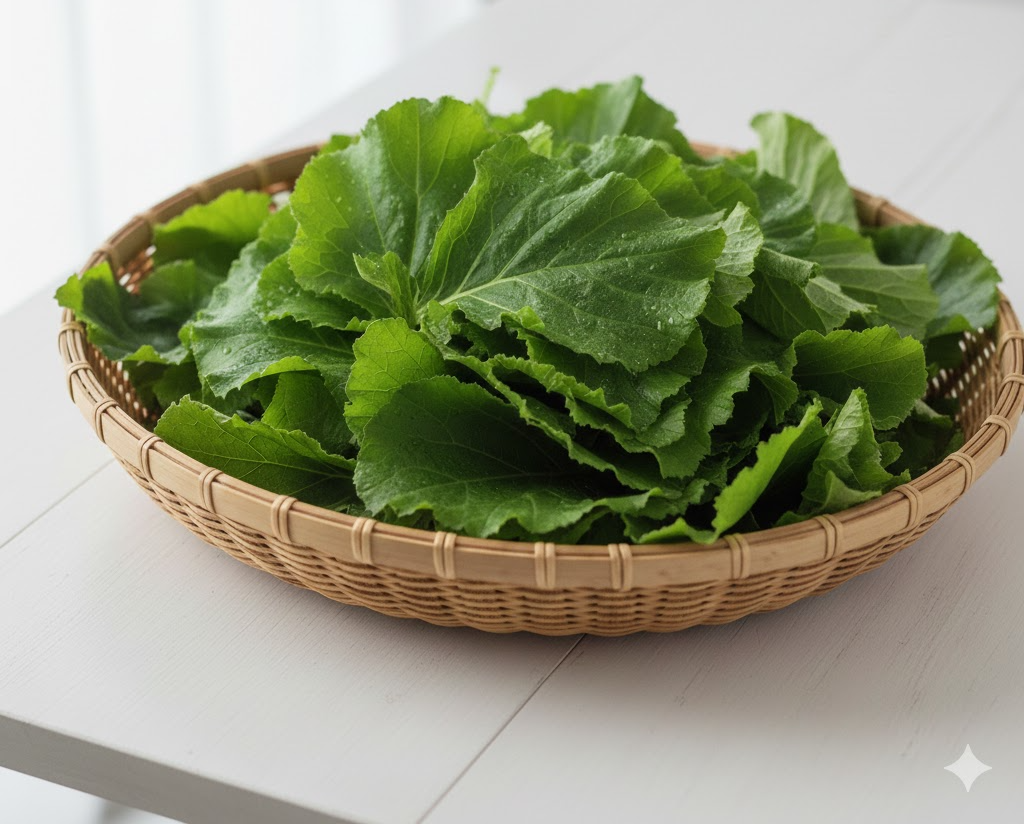 기관지 건강과 항염 효과가 뛰어난 봄의 보약 신선한 머위 잎