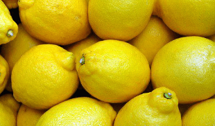 다이어트 식단 허브 샌드위치 썸네일