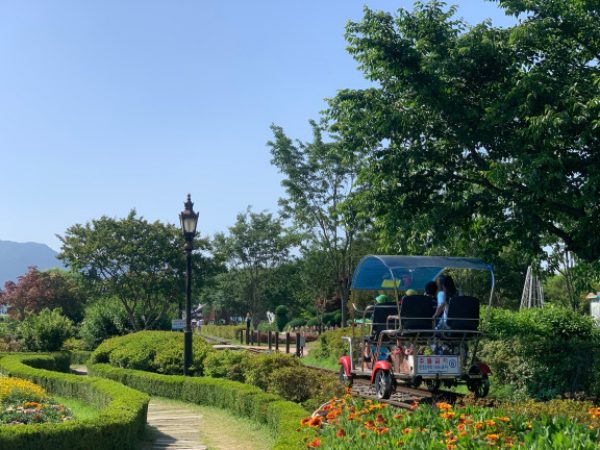 곡성장미축제