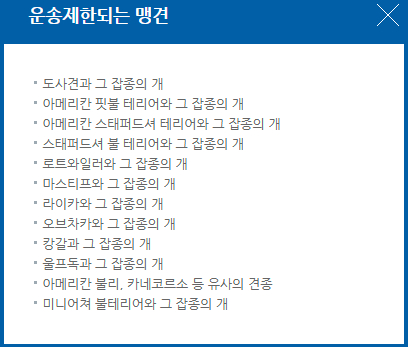 에어부산 운송제한되는 맹견 안내