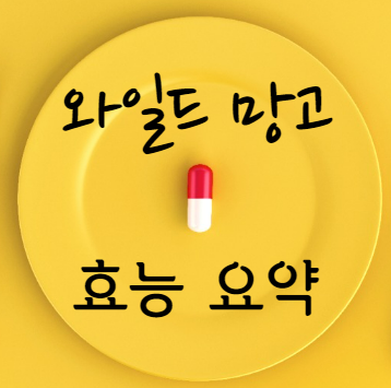 와일드 망고 효능 요약